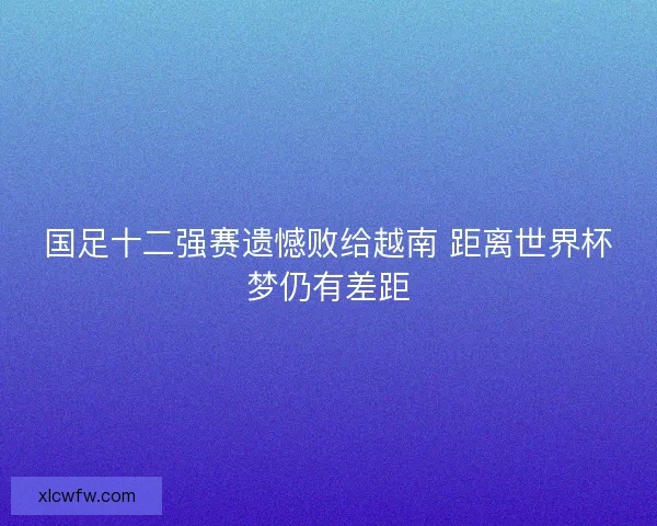国足十二强赛遗憾败给越南 距离世界杯梦仍有差距 国足十二强赛遗憾败给越南 距离世界杯梦仍有差距